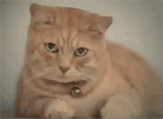 미영아.... ㅠㅠ.gif | 인스티즈