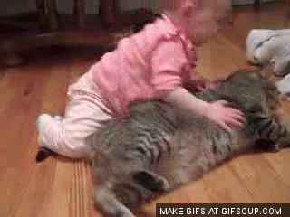 아기와 고양이.gif | 인스티즈