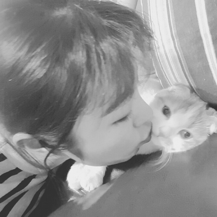 꼬모 이미지