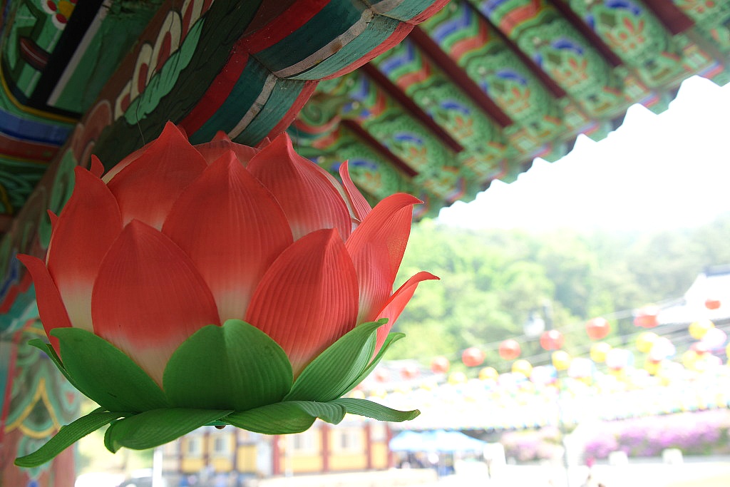 보명사 이미지