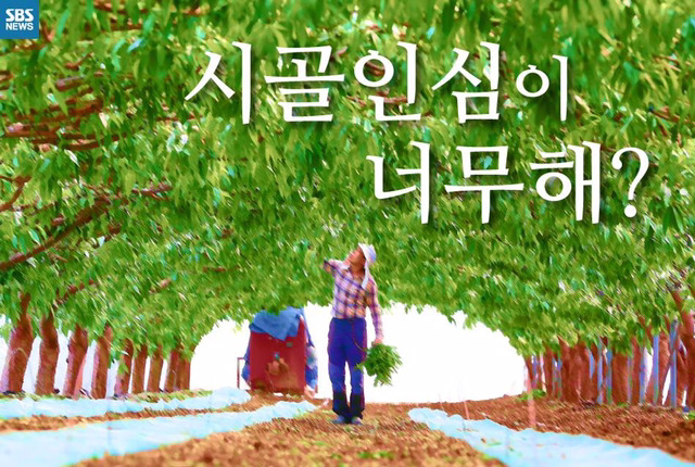 시골인심을 강요하는 사람들때문에 피해보는 농부들 | 인스티즈