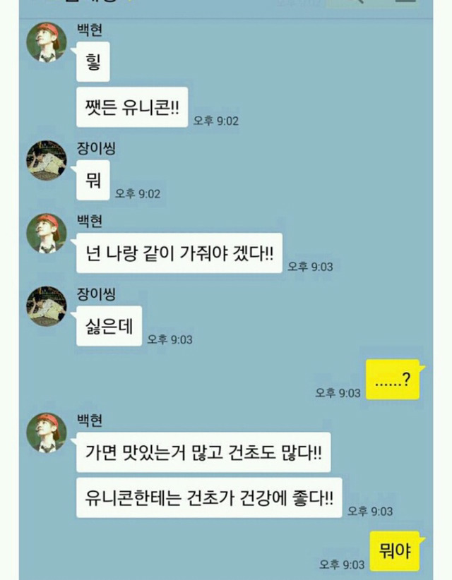 이젠 사람 아니고 동물이다 유니콘 영고엑 | 인스티즈