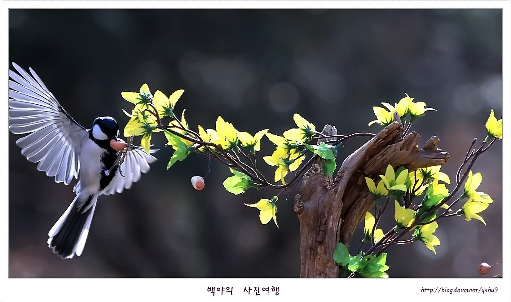아름다운연출 이미지