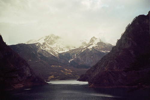  지친 당신을 위로 해주는 사진 | 인스티즈
