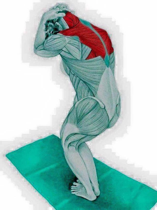 부위별 스트레칭 방법 | 인스티즈