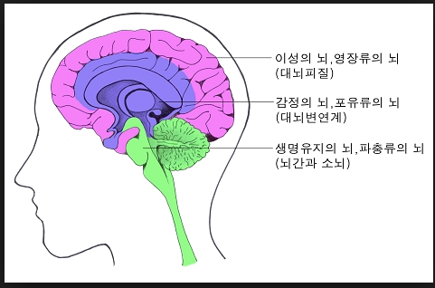체험박사 이미지