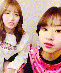 채영이가 귀여운 모모 | 인스티즈