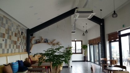 샐러루 이미지