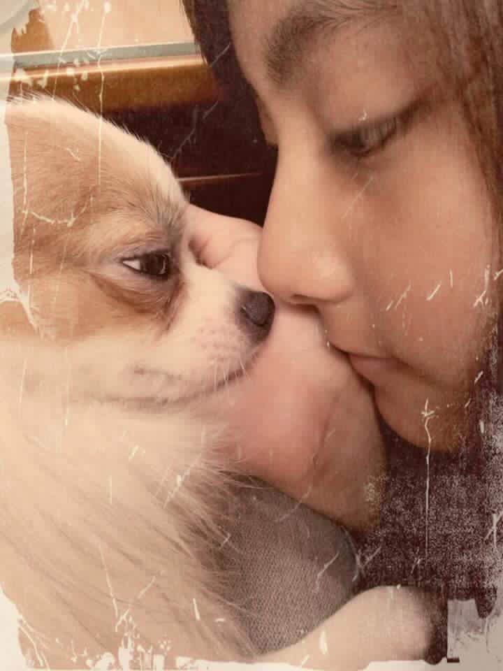 강아지와 쯔위 | 인스티즈