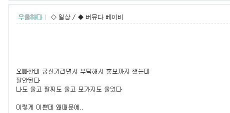 이말년 여동생이 잠깐 운영했었다고하는 수제 팔찌 쇼핑몰에 대한 이말년의 고찰.jpg | 인스티즈