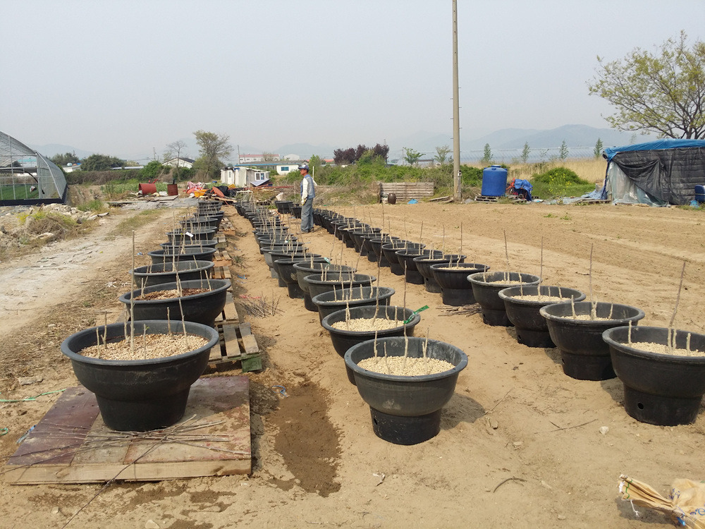 2407194B55AD6EDE059C75