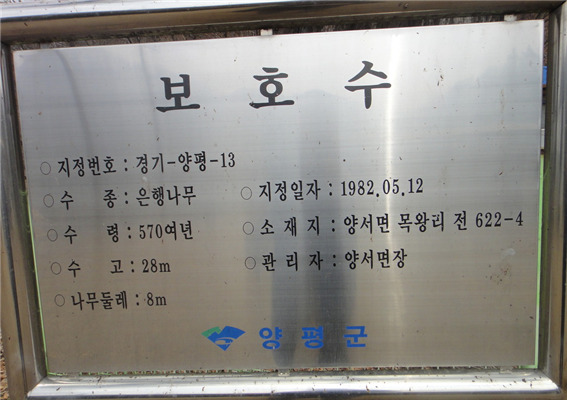 춘초몽 이미지