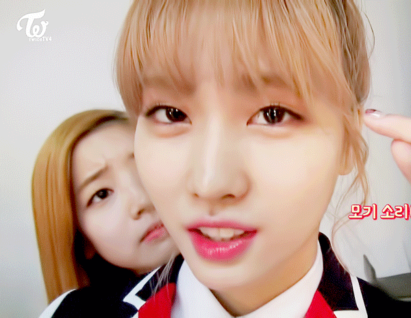 [트와이스] 모모의 모기 이야기에 리액션 하는 다현이 | 인스티즈