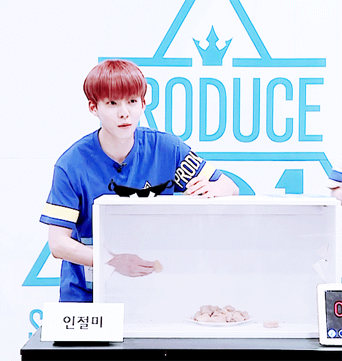 [프로듀스101] 프로필 사진 최대 피해자 연습생들 | 인스티즈