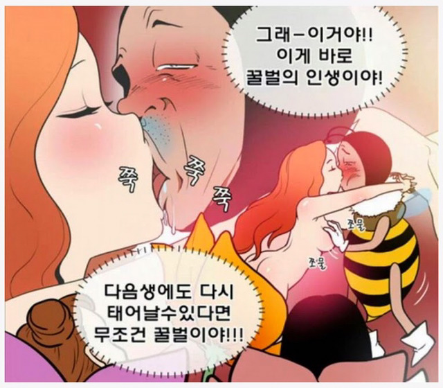  꿀벌의 일생 | 인스티즈