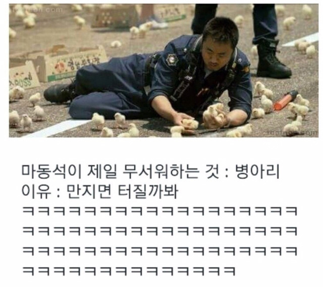 잡다구리한 웃짤 모음 1탄 (feat.무한도전) | 인스티즈