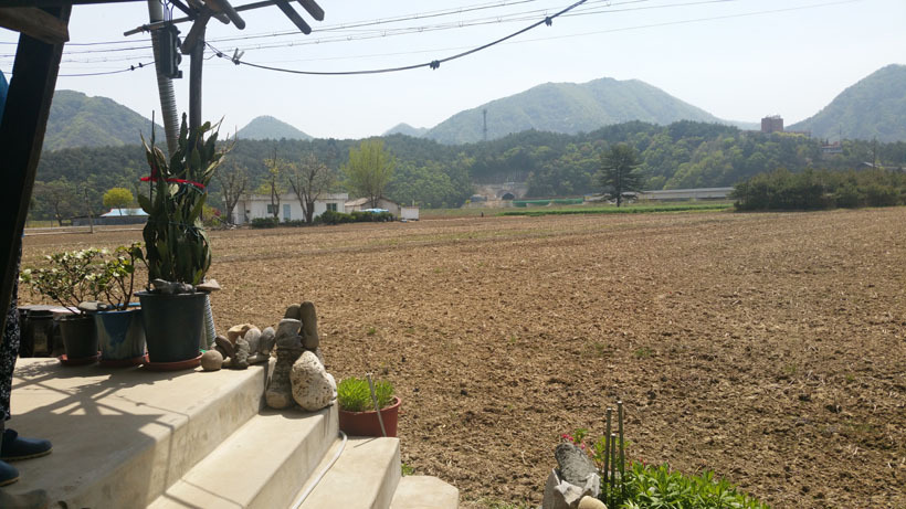빨강벽돌 이미지