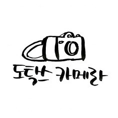박스에 들어가고 싶었던 고양이 | 인스티즈