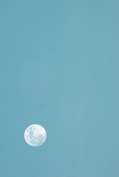 스마트폰 배경화면 | 인스티즈