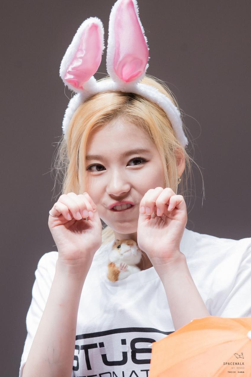 [트와이스] 싱크로율 99％ | 인스티즈