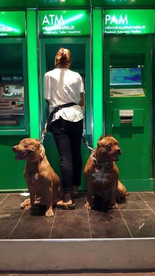 외국의 atm 안전하게 이용하는법 | 인스티즈