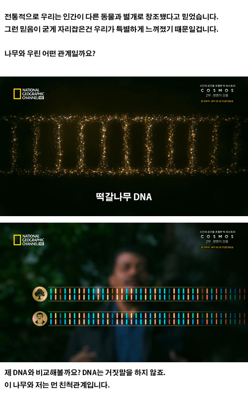 생물의 진화: 인간의 눈 | 인스티즈
