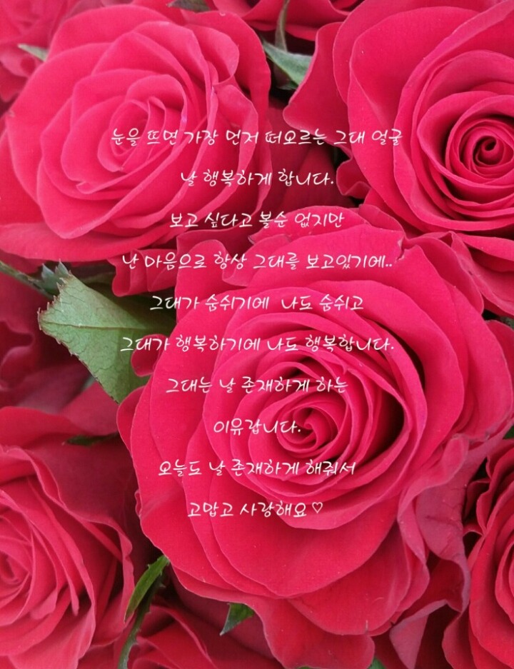 더무아 이미지