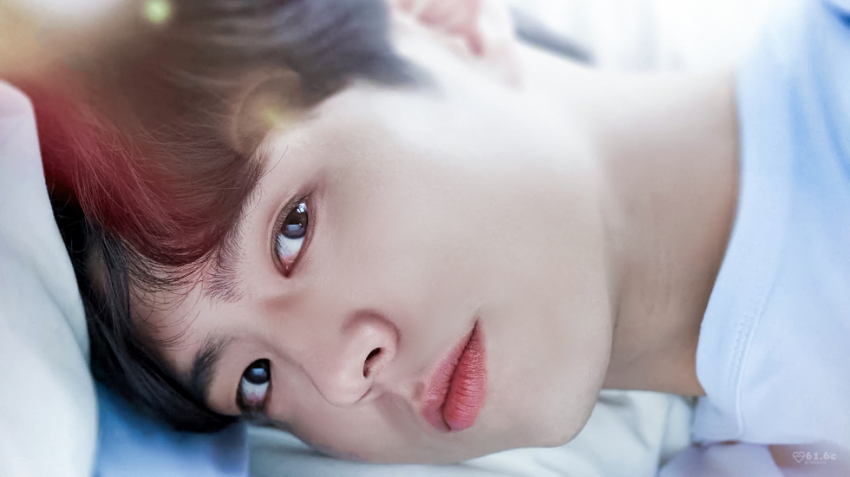 스윗보검vs박력보검 | 인스티즈