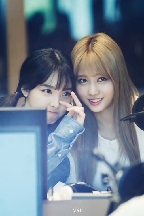 [트와이스] 진짜 토끼 같은 나연이 | 인스티즈
