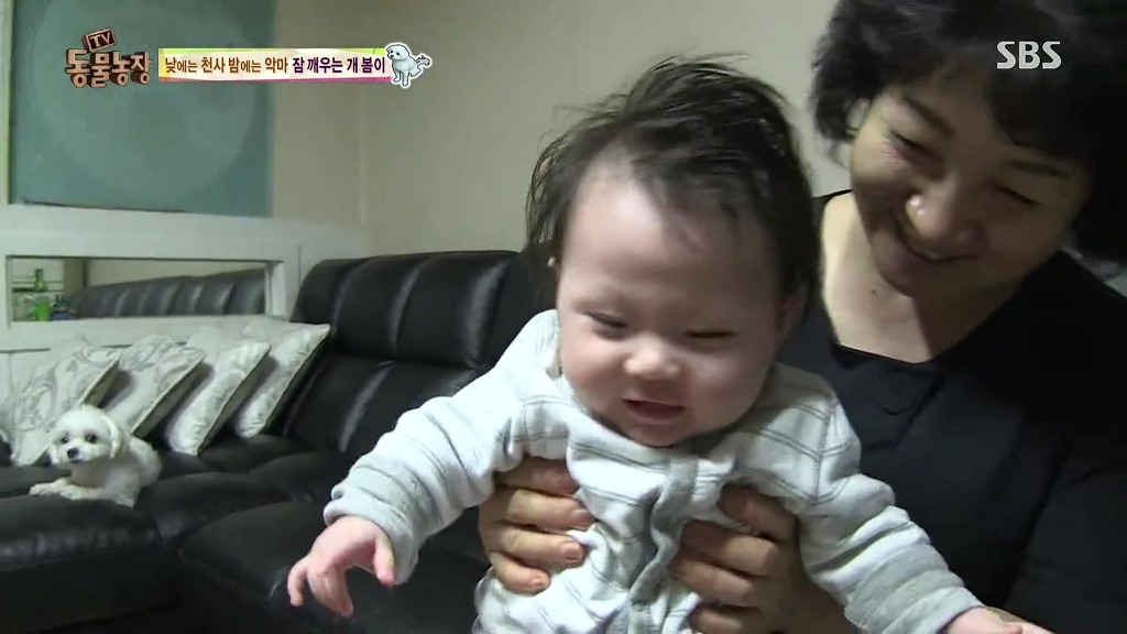 [동물농장] 새식구 들어온 후 우울해진 봄이.jpg | 인스티즈