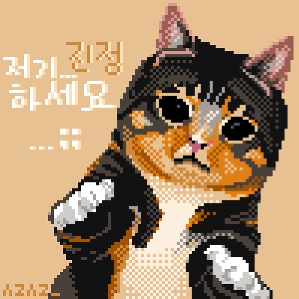 빙구같은 고양이의 매력 (움짤,데이터도둑) | 인스티즈