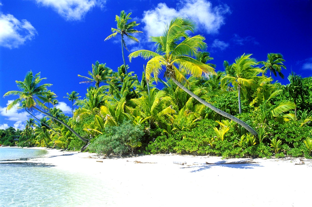 244442435496BA8726C4B4