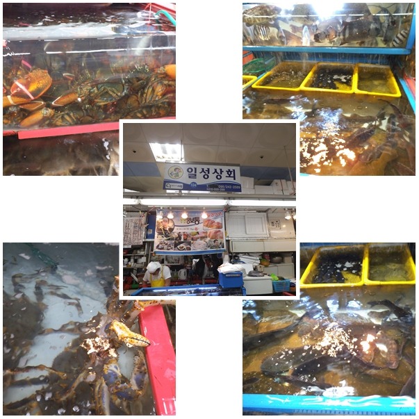 일성상회 이미지
