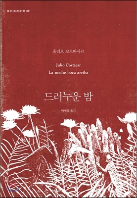 홀리오 이미지
