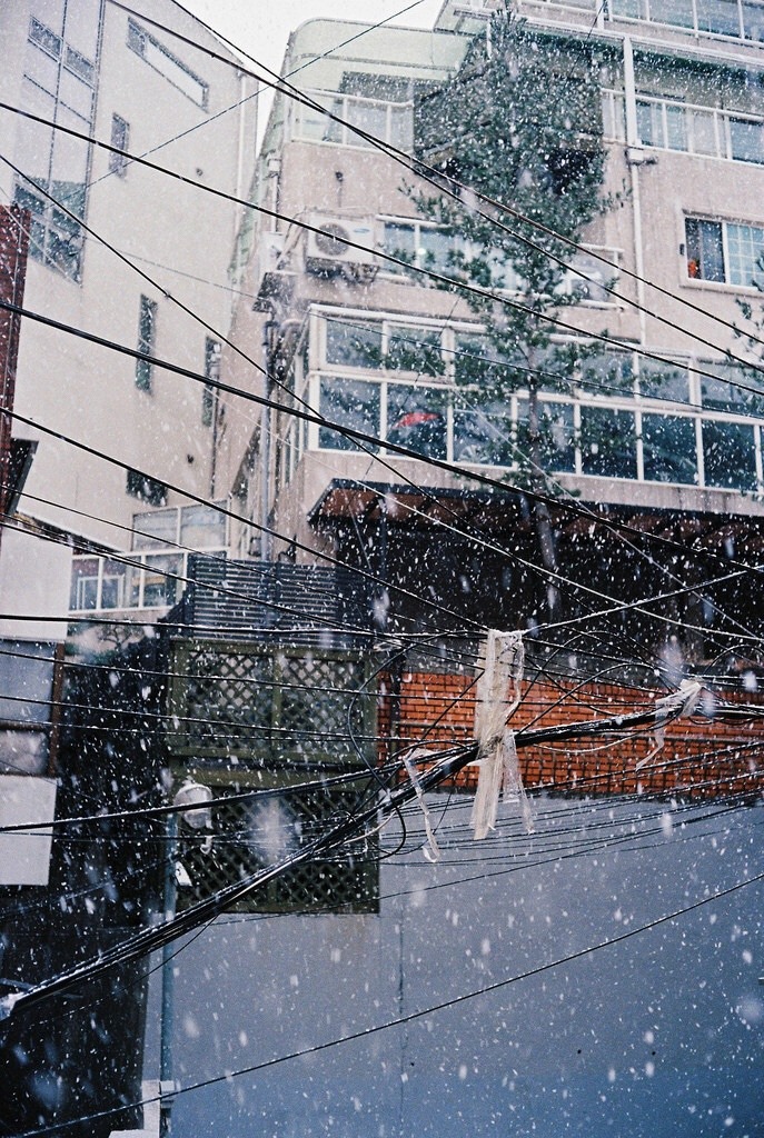 외국인이 찍은 한국 감성사진.jpg(여러장의사진주의) | 인스티즈