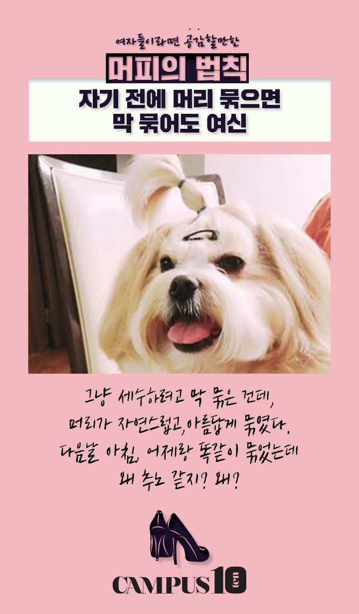 공감 이미지