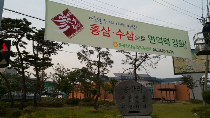 두선디자인.딸기현수막 이미지