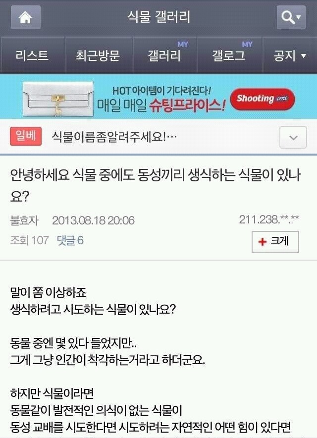 동성애 질문에 대한 식물갤 레전드 답변.jpg | 인스티즈