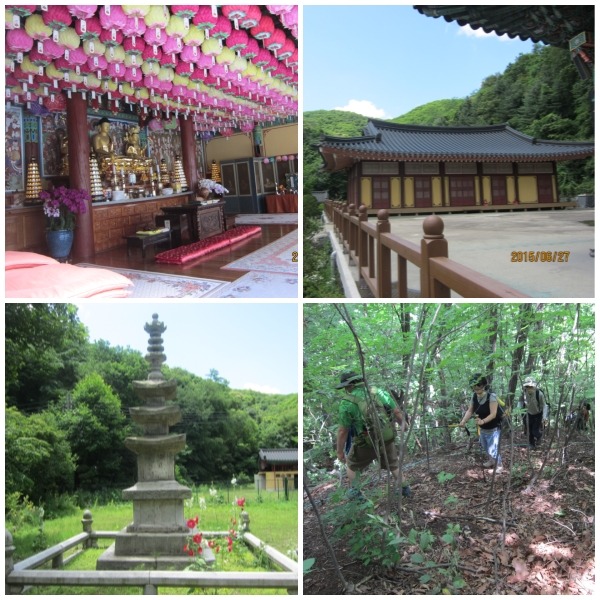 명제상사 이미지