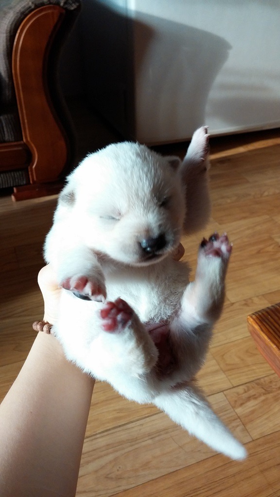 복길이네 이미지