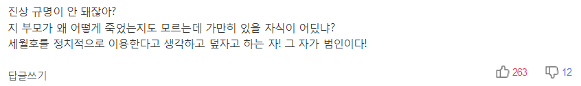 홍준표"부모상도 3년이면 탈상인데 아직도 세월호 대선에 이용" | 인스티즈