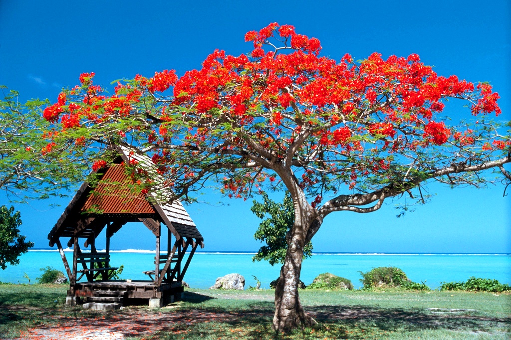 2466FD445496BA641D443F