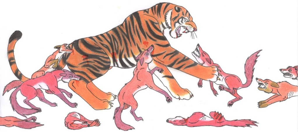 시랑 이미지