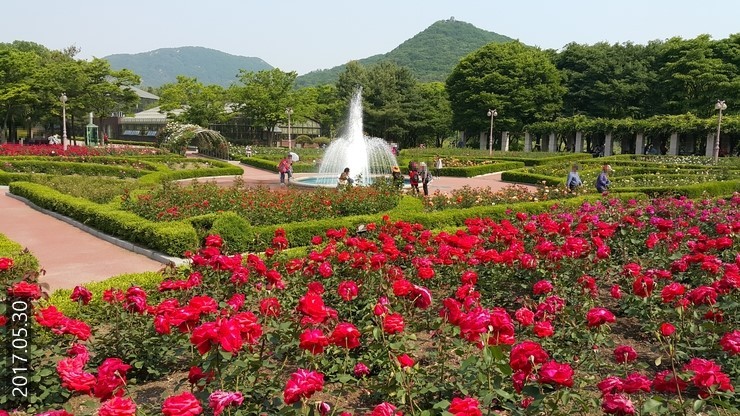 장미원 이미지