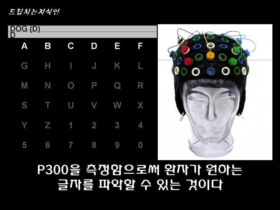  어마어마한 일들을 하고 있는 첨단 뇌공학 | 인스티즈