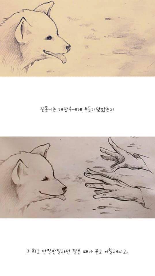 실화라서 더 슬프다.. | 인스티즈
