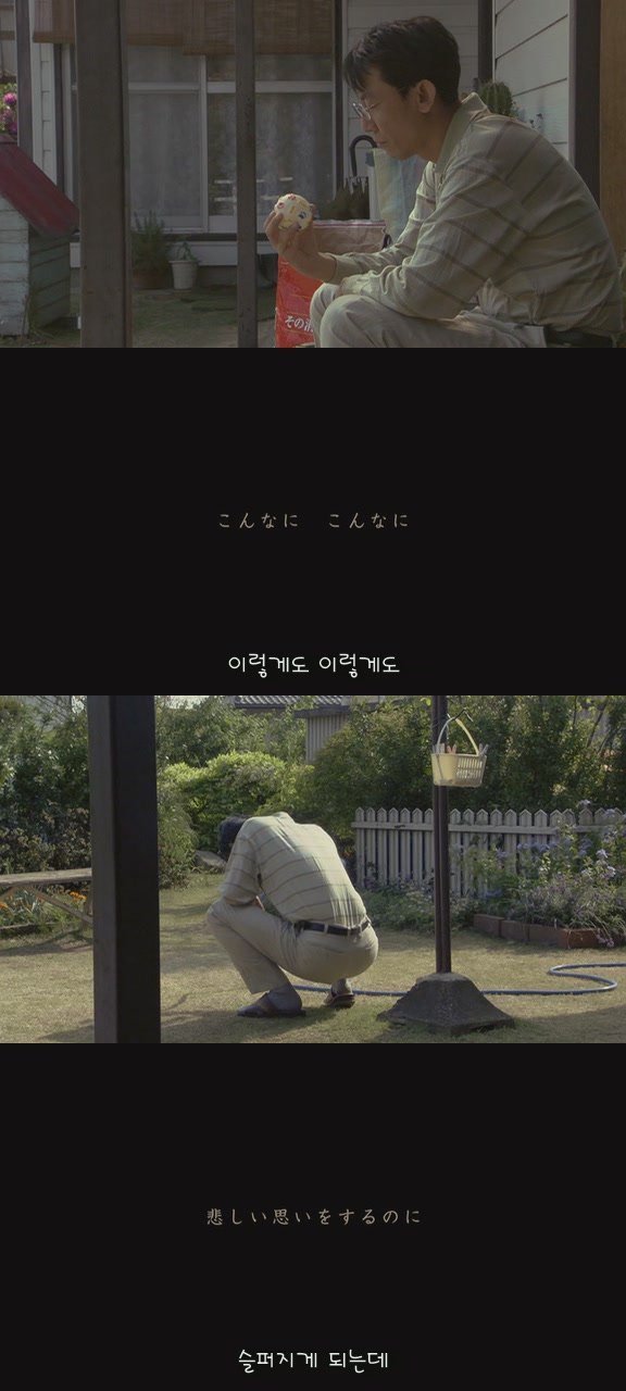 강아지의 삶 | 인스티즈