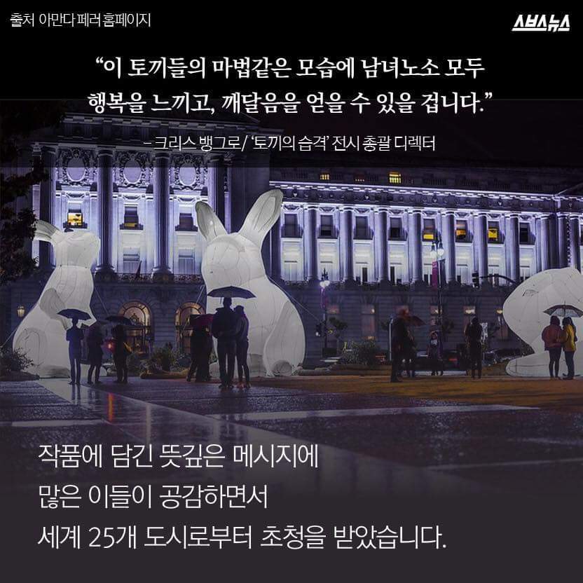 한국을 습격한 거대 토끼 | 인스티즈
