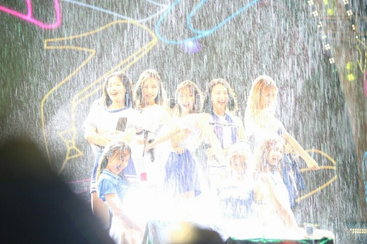 [트와이스] 비맞고 제대로 신난 아기맹수 | 인스티즈
