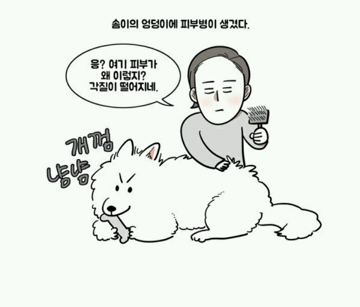 대형견 키우는 사람 공감 | 인스티즈